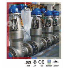 Power Plant 550degc High Temperature Wc9 Gate Valve (900lb)